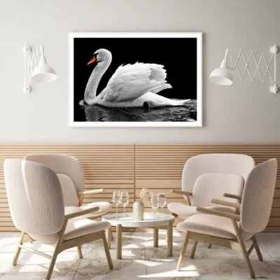 Swan on Lake Closeup Photograph Home Decor Premium Quality Poster Print Choose Your Sizes