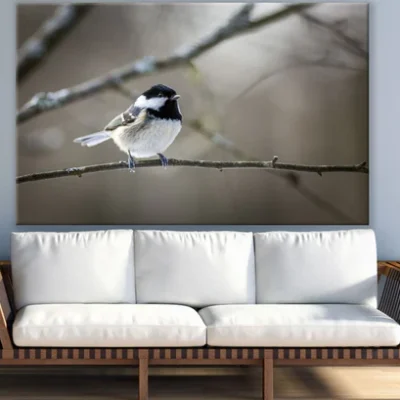 Bird on a Tree Closeup Photograph View Print 100% Australian Made