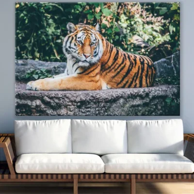 Tiger Portrait Closeup Photograph Print 100% Australian Made