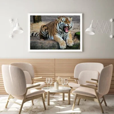 Tiger Roaring Closeup Photograph Home Decor Premium Quality Poster Print Choose Your Sizes