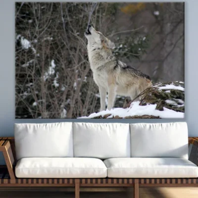 Wolf Hooting Closeup Photograph Print 100% Australian Made