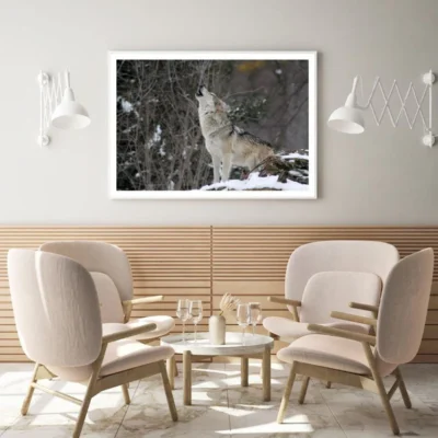 Wolf Hooting Closeup Photograph Home Decor Premium Quality Poster Print Choose Your Sizes