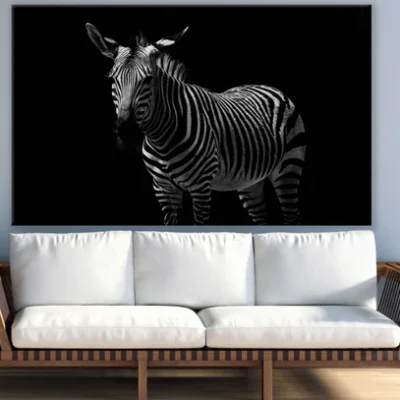 Zebra Photograph View Print 100% Australian Made