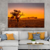 Grassy Steppe, Camel Thorn Trees  Wall Art Print 100% Australian Made