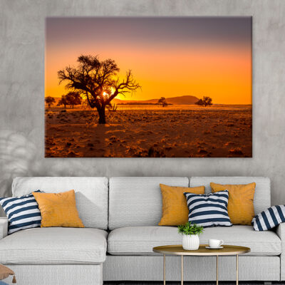 Grassy Steppe, Camel Thorn Trees  Wall Art Print 100% Australian Made