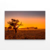 Grassy Steppe, Camel Thorn Trees  Wall Art Print 100% Australian Made - Image 2