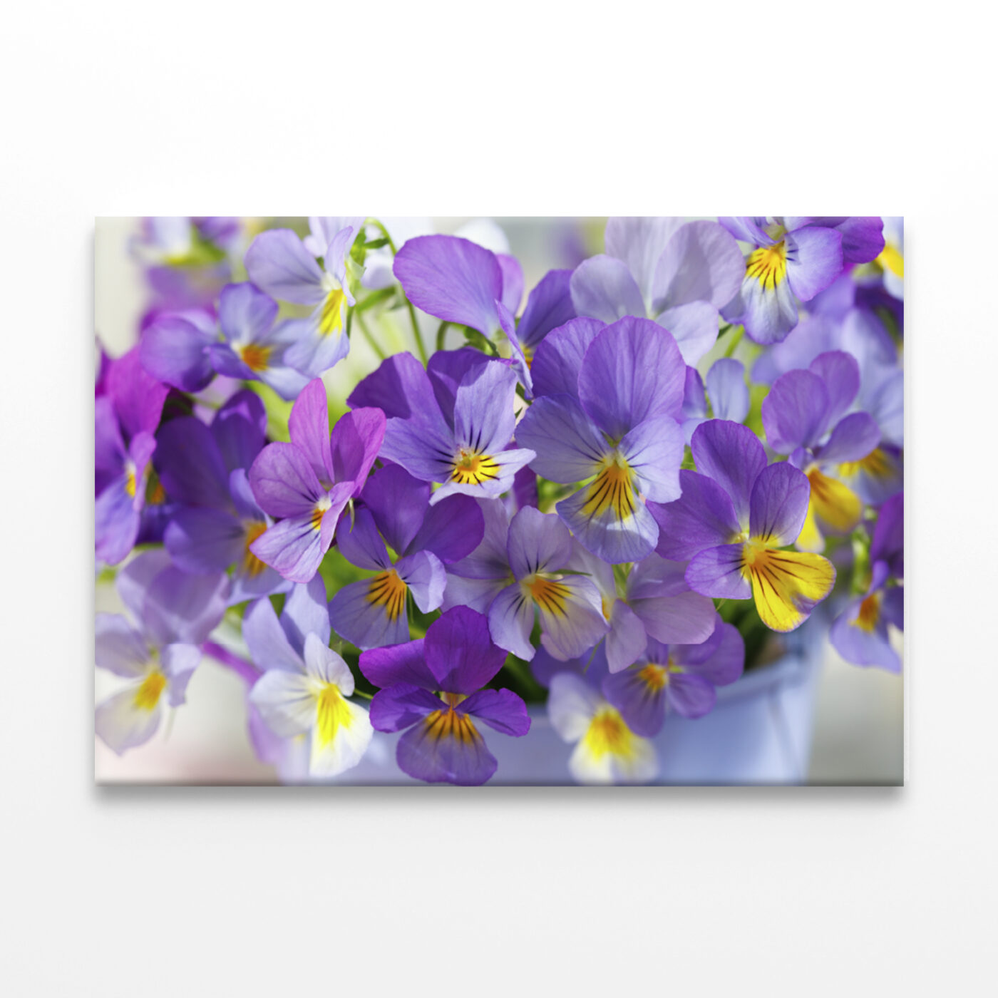 Blue, Purple Flowers Violets Wall Art Print 100% Australian Made - Image 2