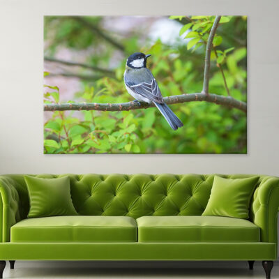 Great Tit on Cherry Blossom Tree Wall Art Print 100% Australian Made