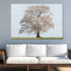 Spring Cherry Blossoms in Bloom Wall Art Print 100% Australian Made