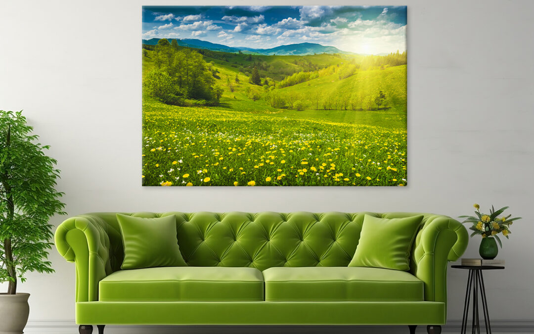 Yellow Flowers in Spring Meadow Wall Art Print 100% Australian Made