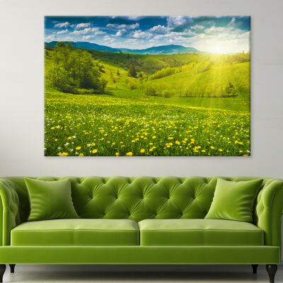 Yellow Flowers in Spring Meadow Wall Art Print 100% Australian Made