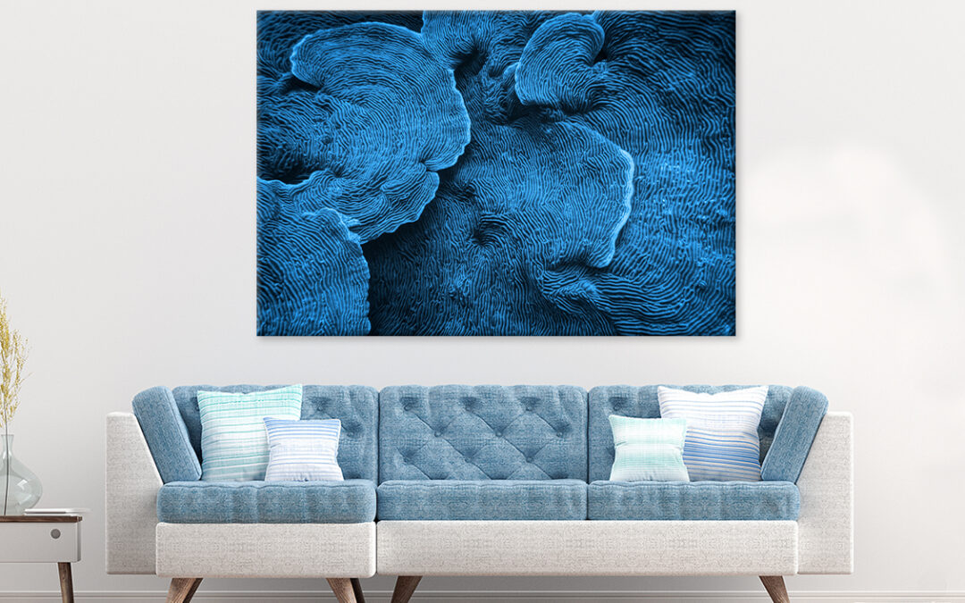 Elephant Skin Coral Texture Abstract Wall Art Print 100% Australian Made
