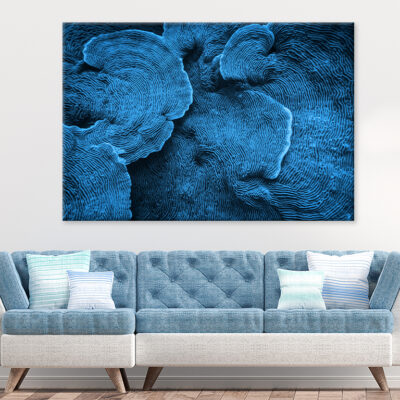 Elephant Skin Coral Texture Abstract Wall Art Print 100% Australian Made
