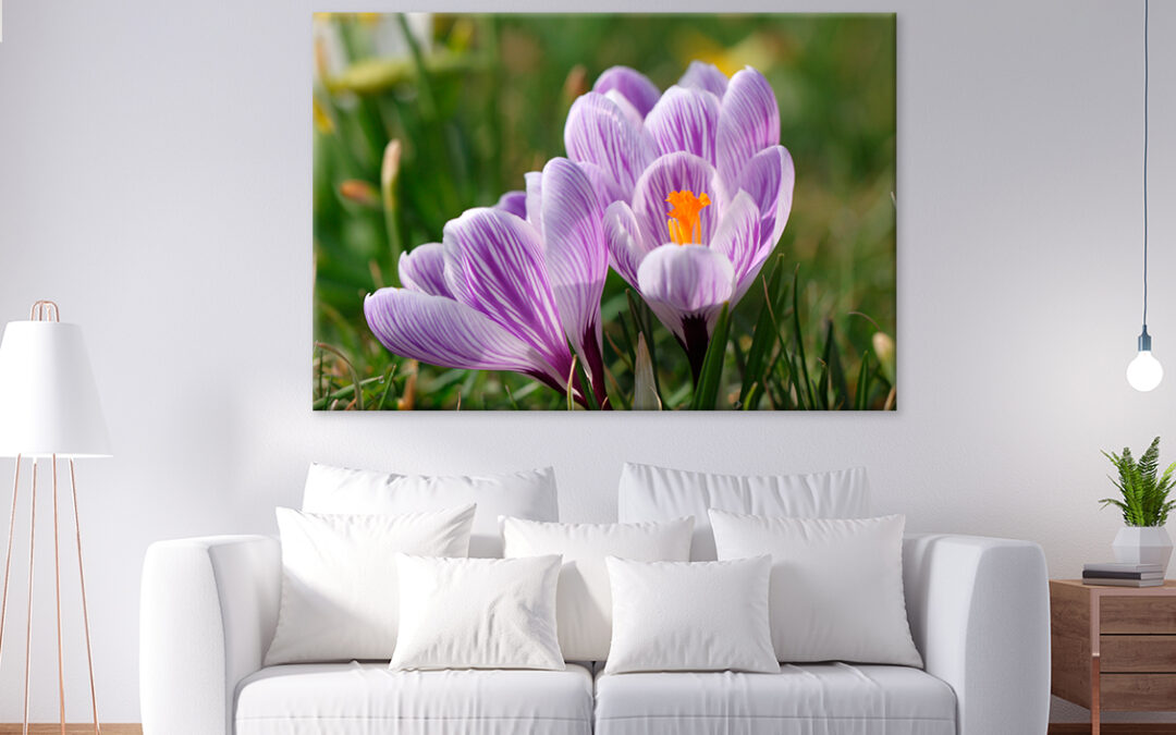 Spring Growing Flowers And Nature Wall Art Print 100% Australian Made