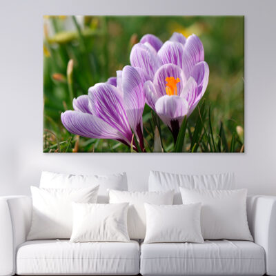 Spring Growing Flowers And Nature Wall Art Print 100% Australian Made