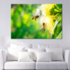 Bee Collecting Pollen In Flower Wall Art Print 100% Australian Made