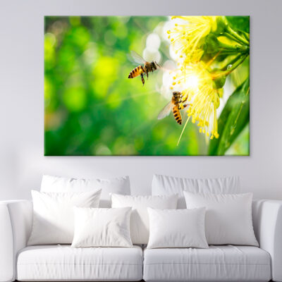 Bee Collecting Pollen In Flower Wall Art Print 100% Australian Made