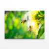 Bee Collecting Pollen In Flower Wall Art Print 100% Australian Made - Image 2