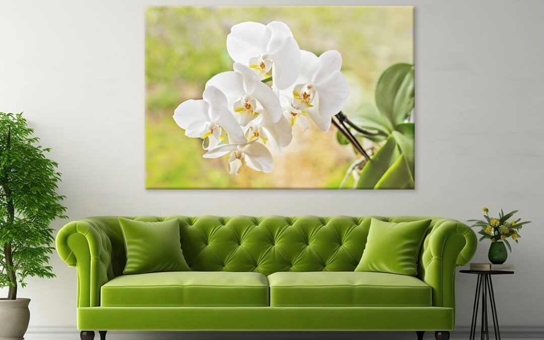 Elegant White Orchid Flowers  Wall Art Print 100% Australian Made