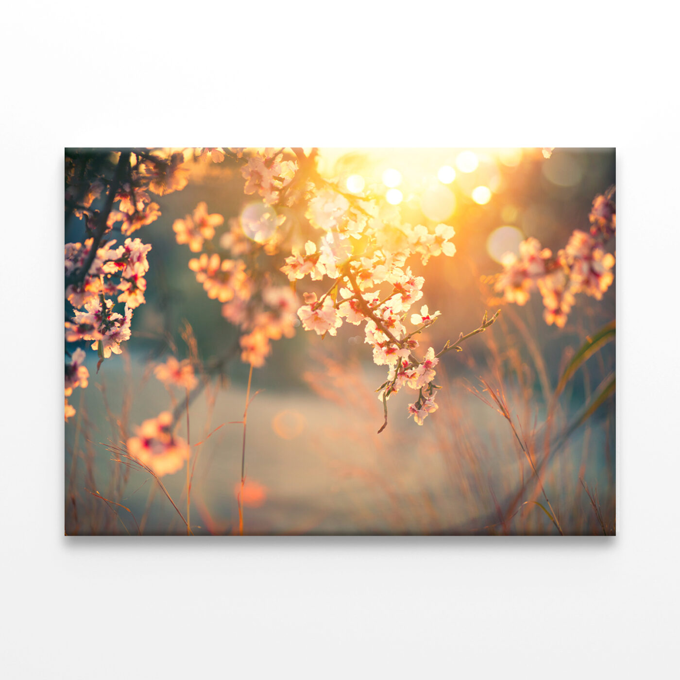 Spring Blossom with Sun Flares Wall Art Print 100% Australian Made - Image 2