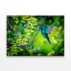 Green Violet Hummingbird Mexico Wall Art Print 100% Australian Made - Image 2