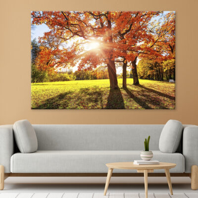 Autumn Tree With Golden Red Leaves Wall Art Print 100% Australian Made