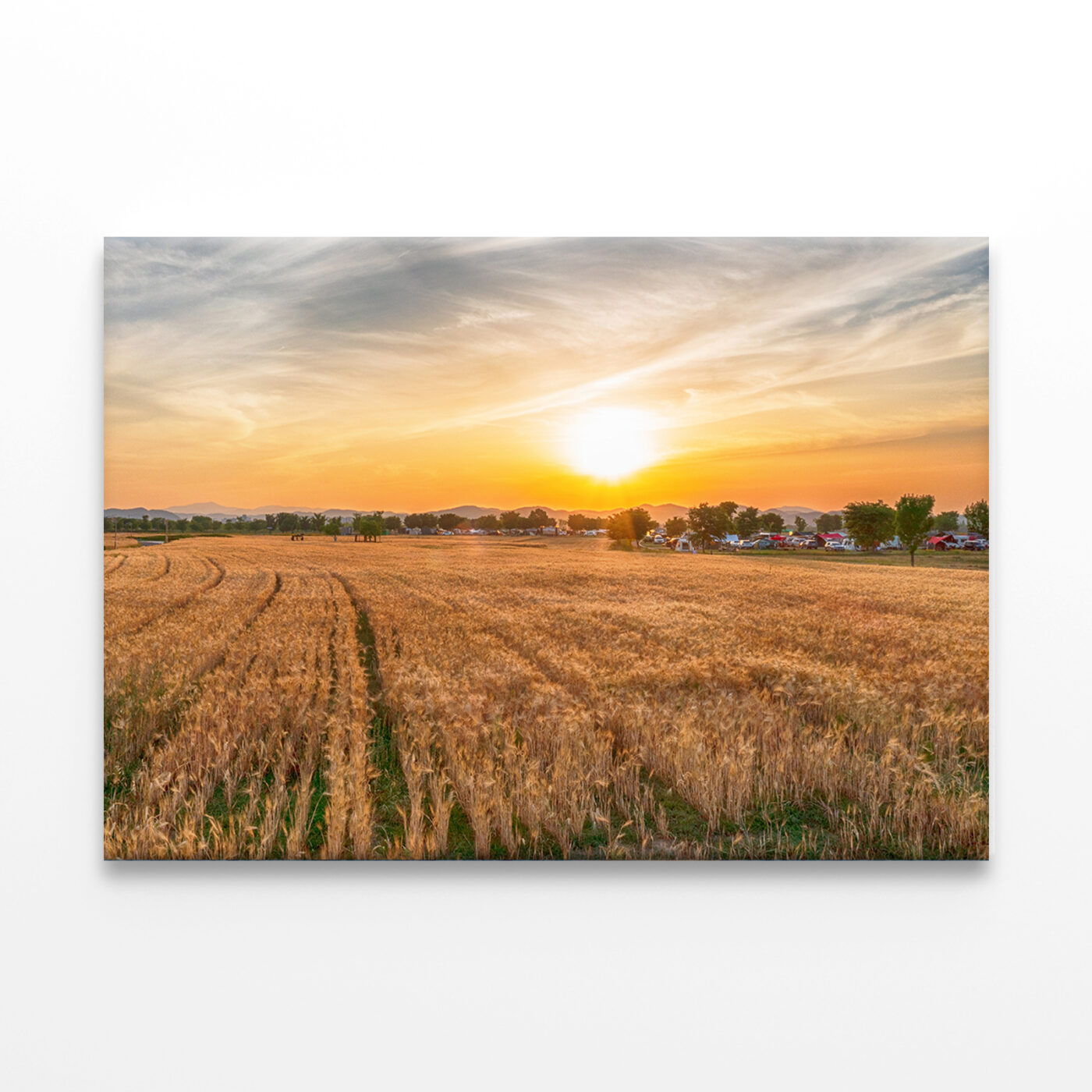 Aerial View of Nakdonggang Barley Field Wall Art Print 100% Australian Made - Image 2