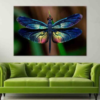 Beautiful Wing of Dragonfly Wall Art Print 100% Australian Made