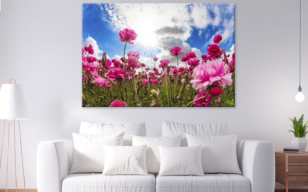 Buttercup Festival In Israel Wall Art Print 100% Australian Made