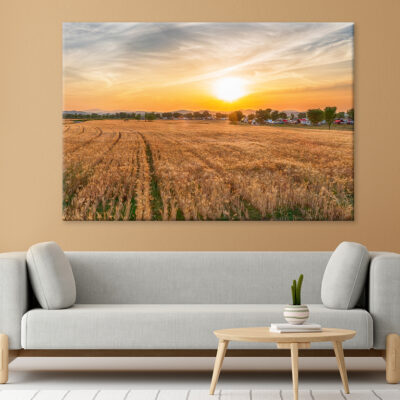 Aerial View of Nakdonggang Barley Field Wall Art Print 100% Australian Made