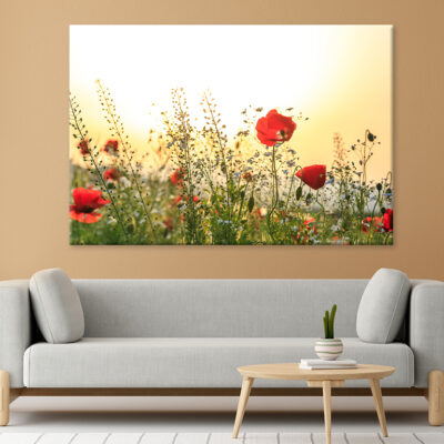 Red Poppy Flowers in Spring Field Wall Art Print 100% Australian Made