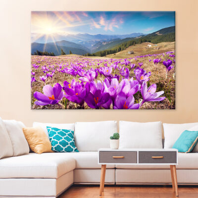 Spring Landscape with Crocuses, Carpathians Wall Art Print 100% Australian Made