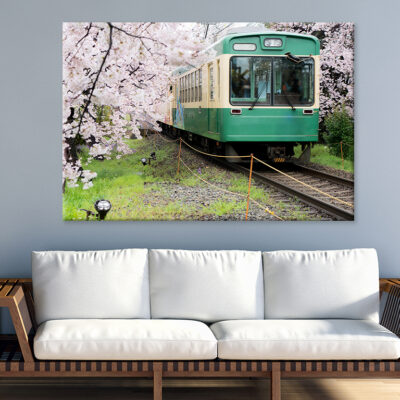 Kyoto Train with Cherry Blossoms Wall Art Print 100% Australian Made