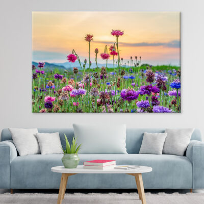 A landscape full of cornflowers and various flowers in a field Wall Art Print 100% Australian Made