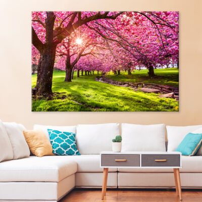 Cherry Blossom Explosion in Hurd Park Wall Art Print 100% Australian Made