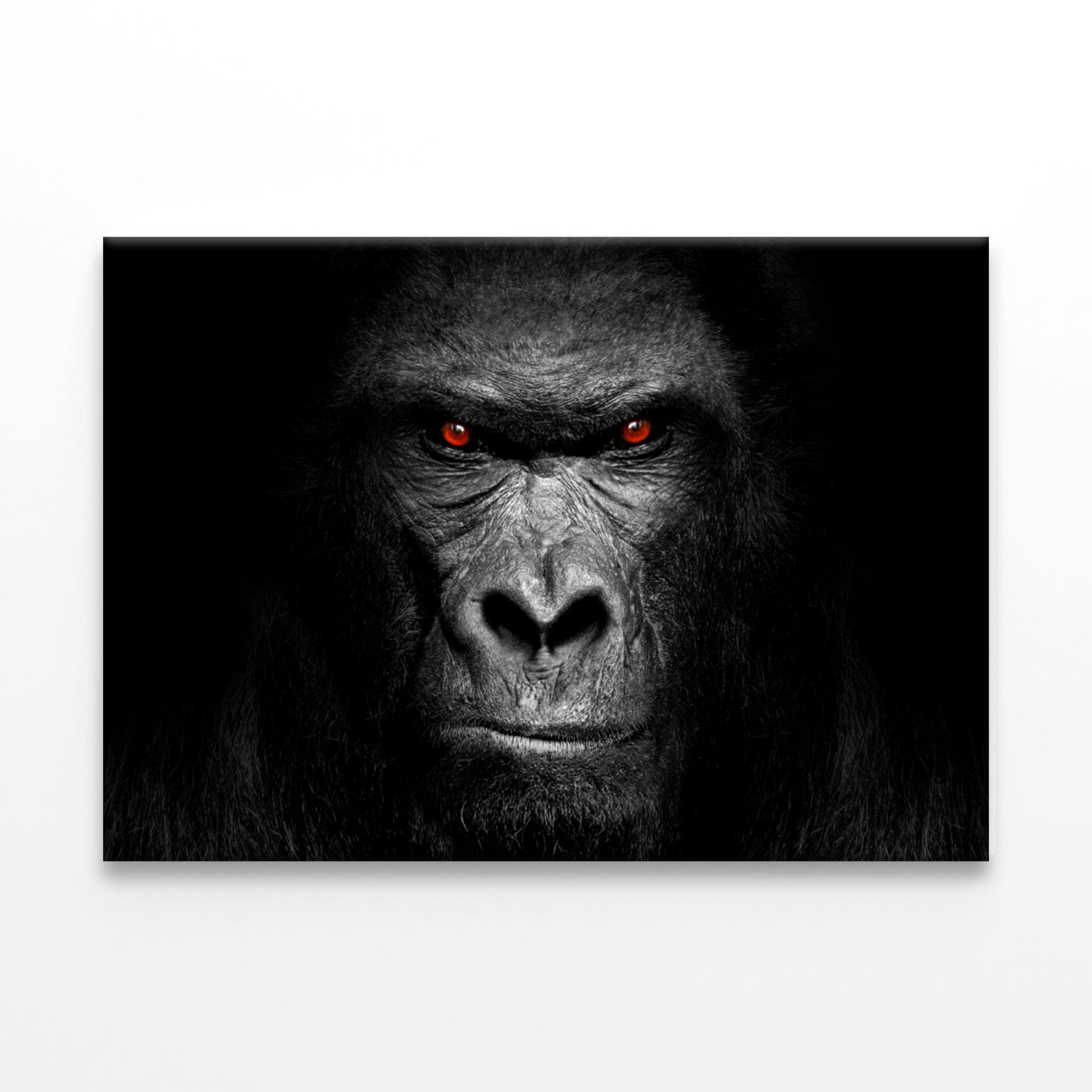 Black & White Gorilla Face Wall Art Print 100% Australian Made - Image 2