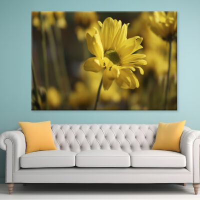 Golden Hues Of Yellow Flowers  Wall Art Print 100% Australian Made