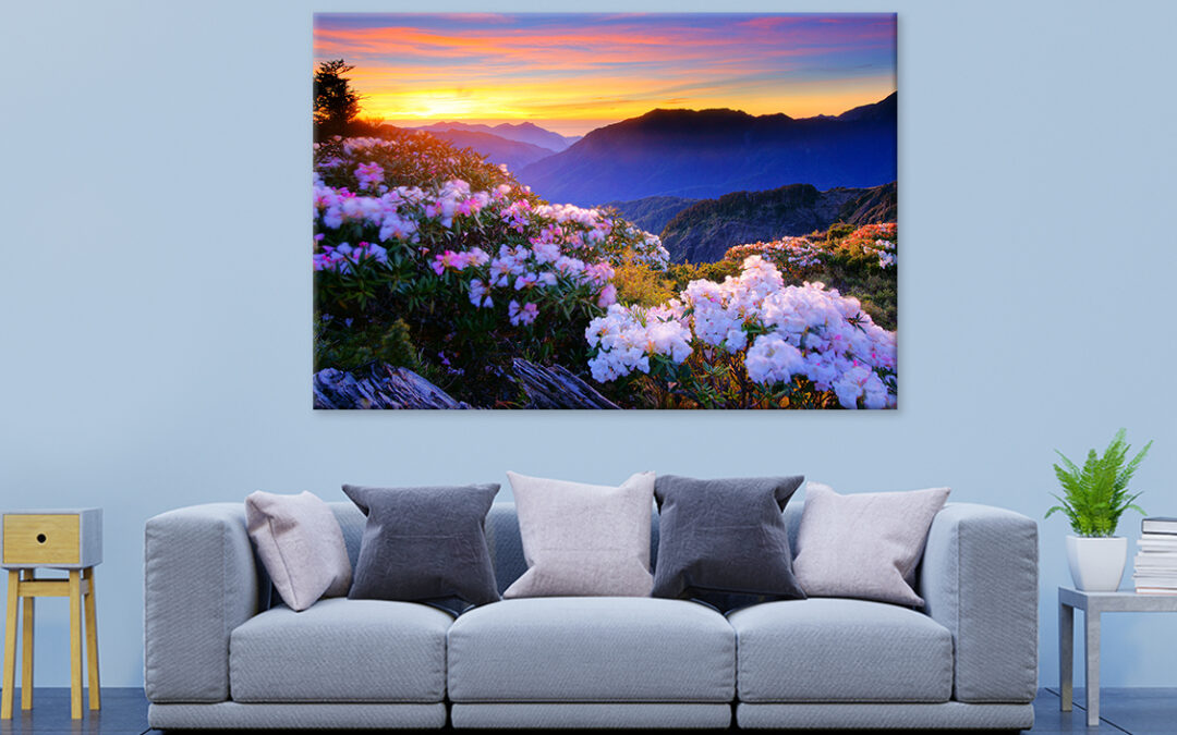 Spring Twilight on Hehuan  Taiwan mountain Wall Art Print 100% Australian Made