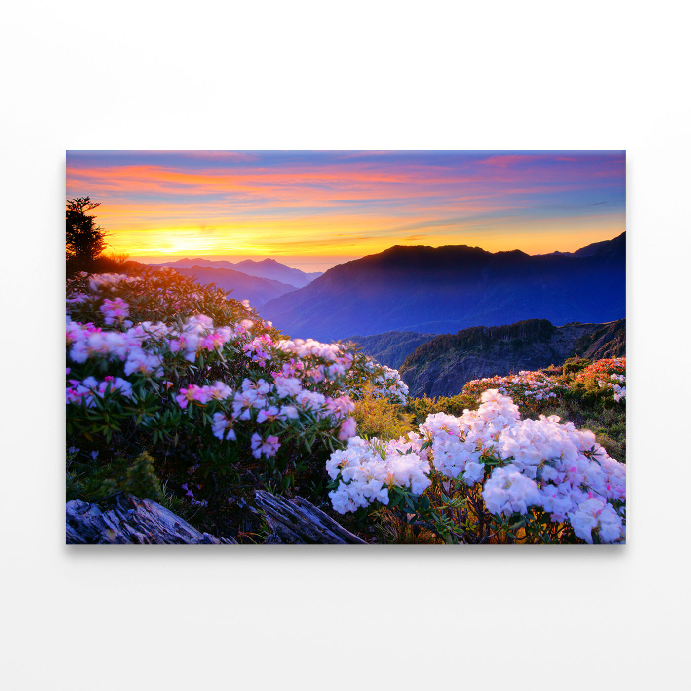 Spring Twilight on Hehuan  Taiwan mountain Wall Art Print 100% Australian Made - Image 2