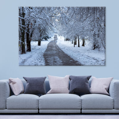 Winter Forest in South Park, Sofia Wall Art Print 100% Australian Made