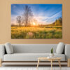 Spring Meadow at Sunrise Wall Art Print 100% Australian Made