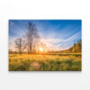 Spring Meadow at Sunrise Wall Art Print 100% Australian Made - Image 2