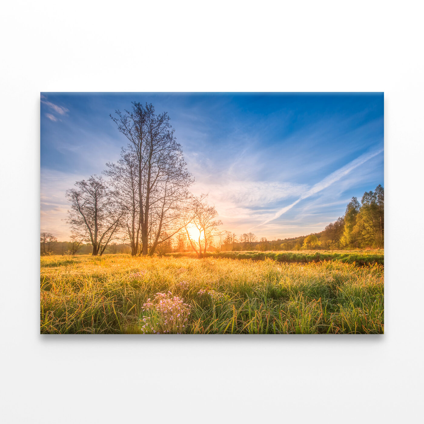 Spring Meadow at Sunrise Wall Art Print 100% Australian Made - Image 2
