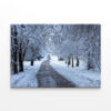 Winter Forest in South Park, Sofia Wall Art Print 100% Australian Made - Image 3