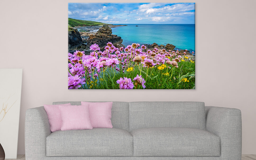 Pink Sea Thrift Flowers in St. Ives, Cornwall Wall Art Print 100% Australian Made