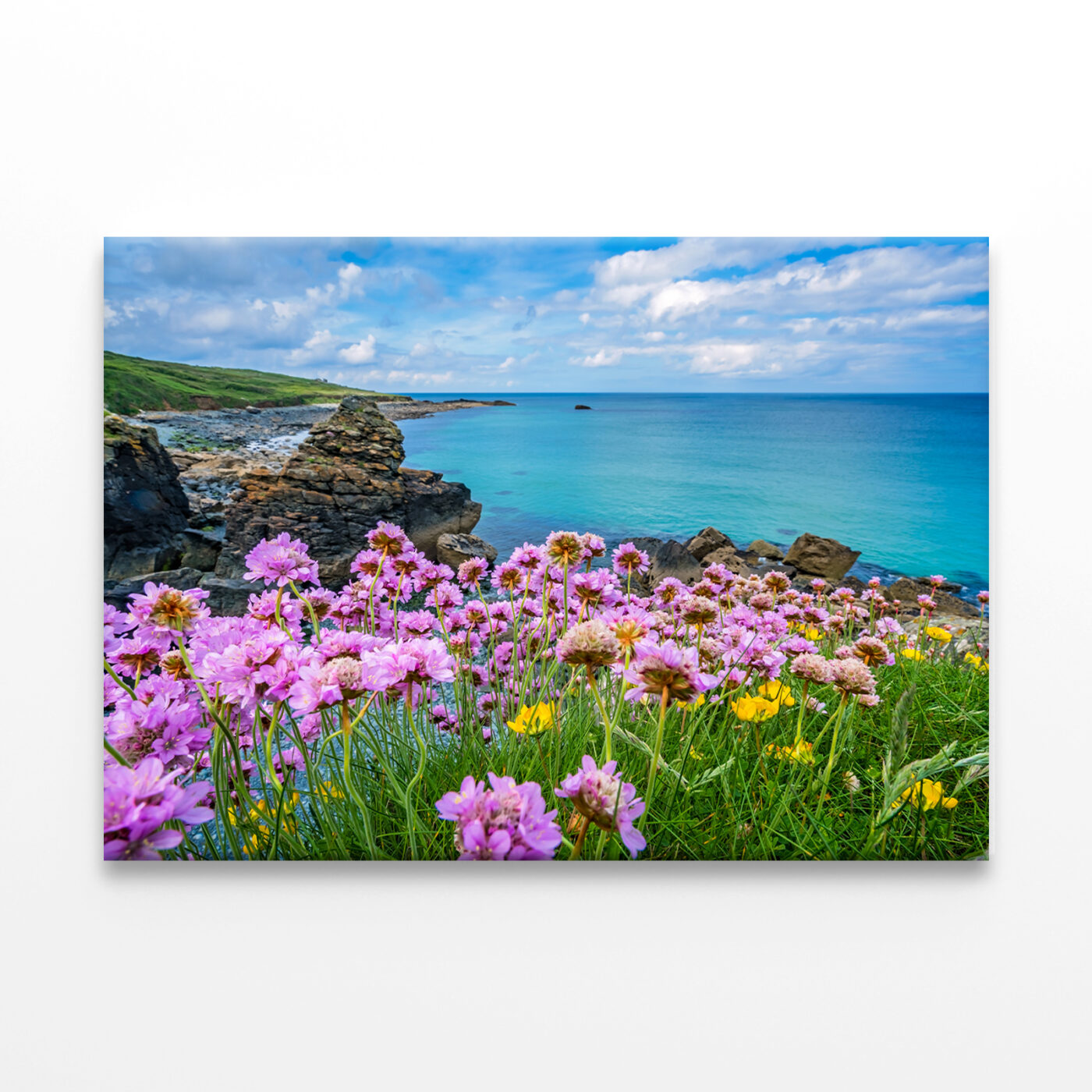 Pink Sea Thrift Flowers in St. Ives, Cornwall Wall Art Print 100% Australian Made - Image 2