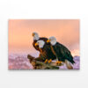 Three Eagles Tree Snag Alaska Wall Art Print 100% Australian Made - Image 3