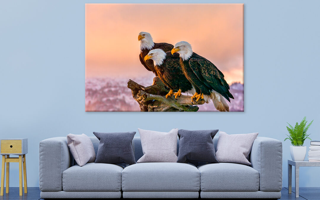 Three Eagles Tree Snag Alaska Wall Art Print 100% Australian Made