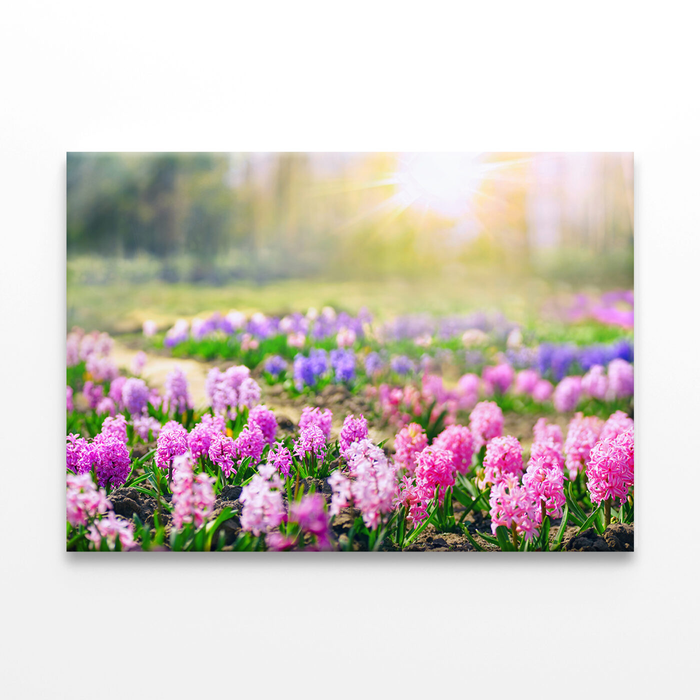 Spring Glade with Hyacinths in Forest Wall Art Print 100% Australian Made - Image 2