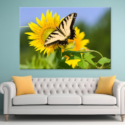 Butterfly Pollen Large Sunflower Wall Art Print 100% Australian Made